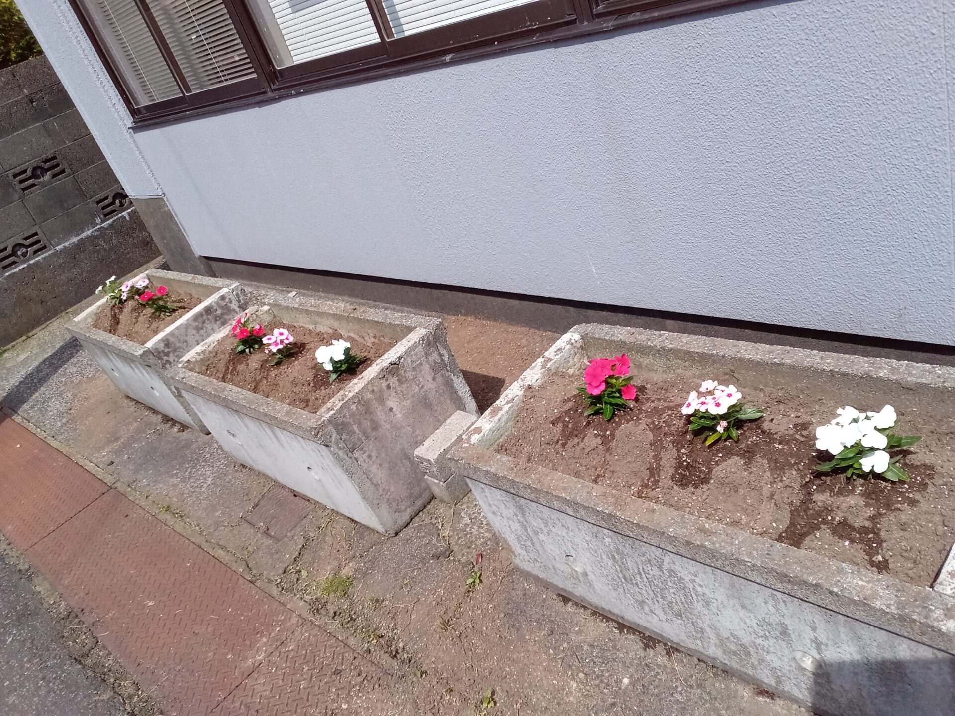 【通信教育コース　三条校】クリーン活動を行いました！
