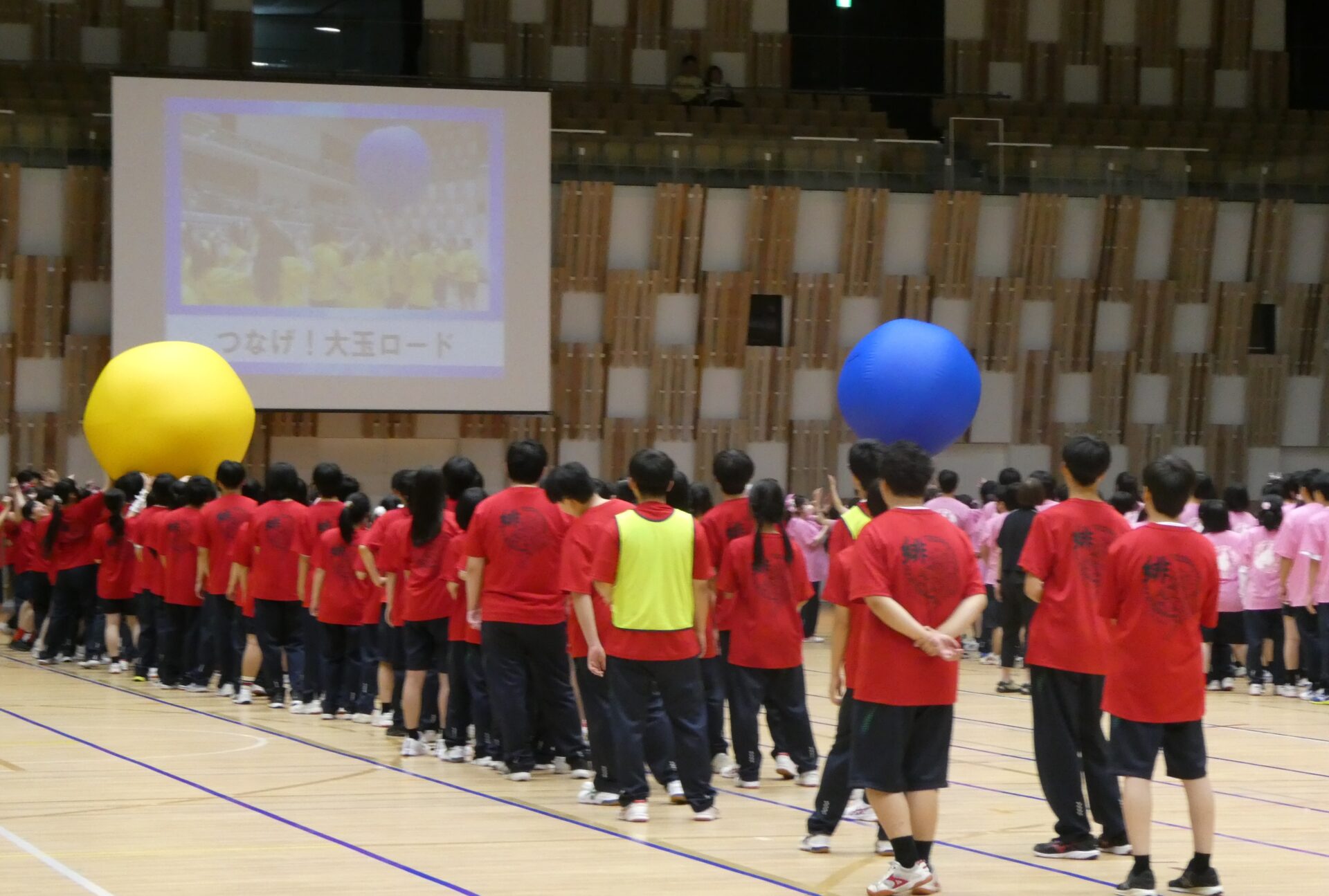 体育祭を開催しました！